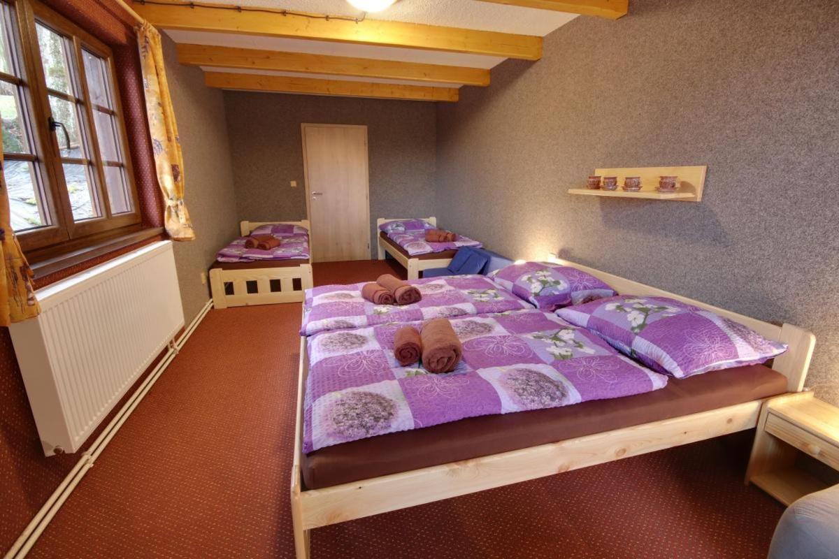 Penzion Harry Na Sjezdovce Krkonose Vysoké nad Jizerou Екстериор снимка